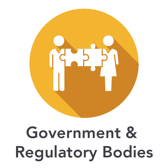 Government & Regulatory Bodies Icon