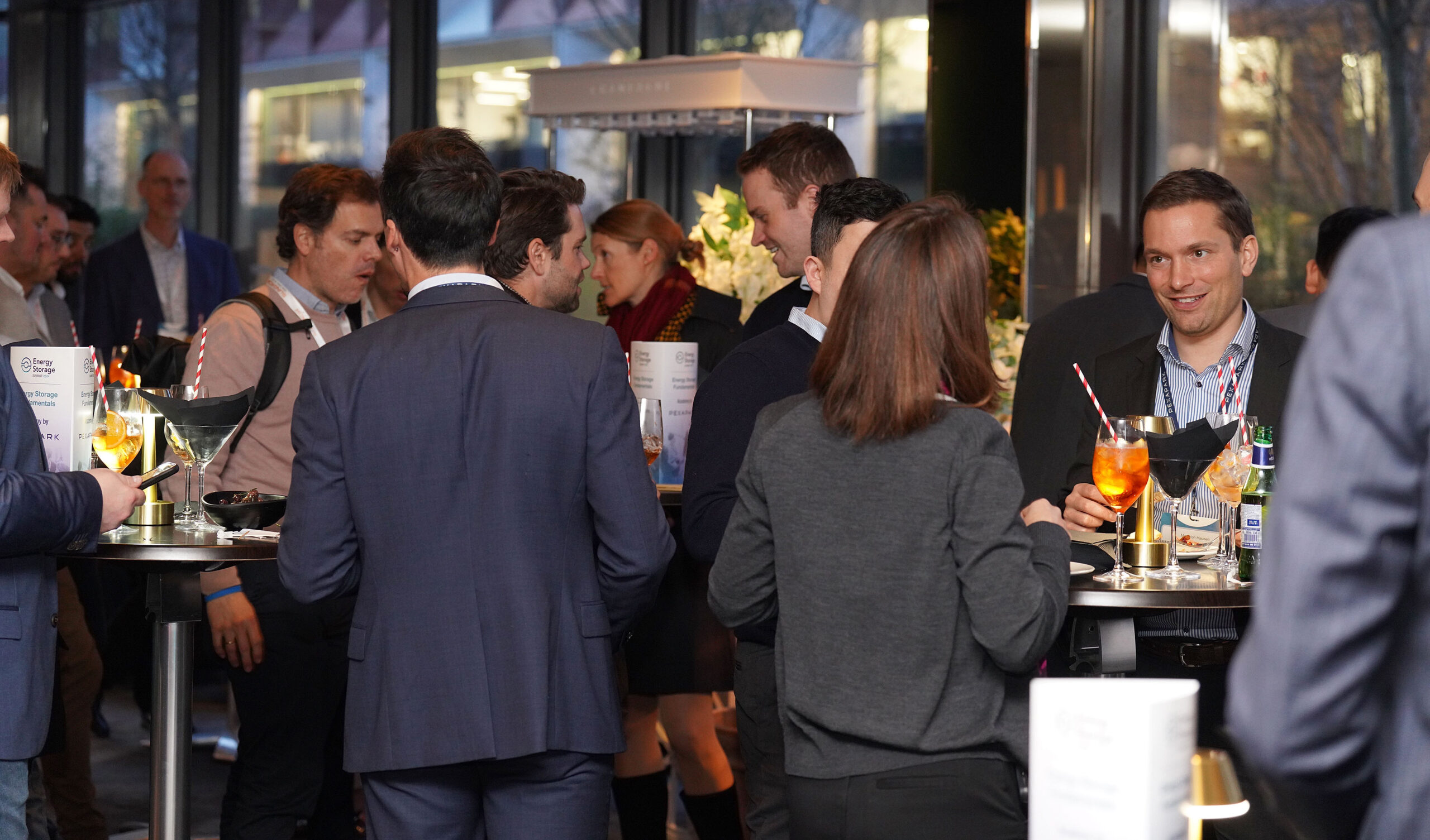 Networking at Energy Storage Summit